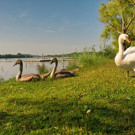 Tisza-to Apartmanpark Aparthotel *