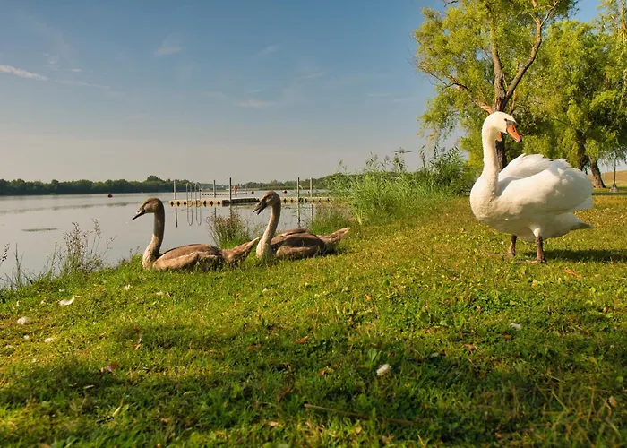 Tisza-to Apartmanpark 아파트호텔 4*